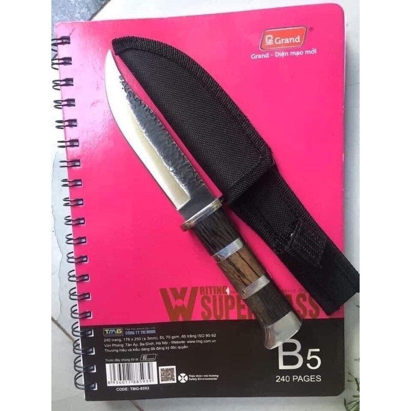 Dao gọt trái cây có bao đựng, dài 22cm, dày 2.5 li, cán gỗ, không rỉ