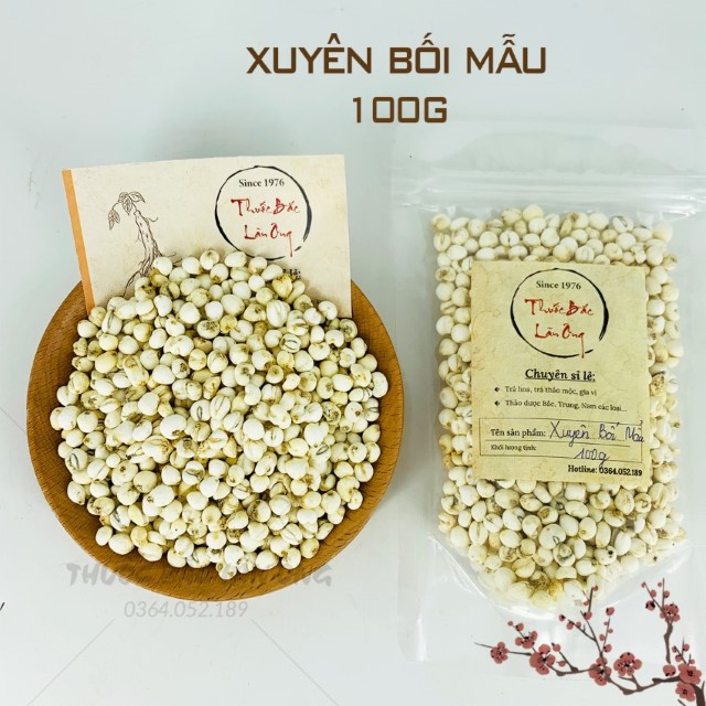 Xuyên bối mẫu 100g