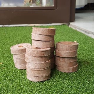 Set 10 viên nén sơ dừa