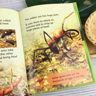 Bộ nhập -  Beginners Nature Collection (10 Books)