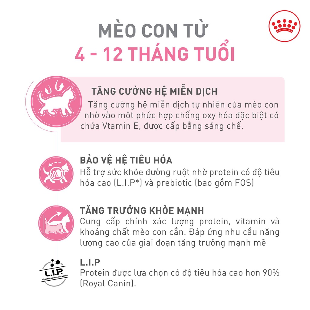 Hạt cho mèo nhỏ Royal canin kitten 2kg, thức ăn khô mèo con sơ sinh dưới 12 tháng tuổi Con Mèo Xiêm