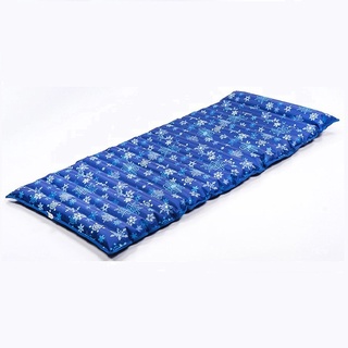 NỆM NƯỚC MÁT, ĐỆM NƯỚC CHO GIA ĐÌNH (SIÊU GIÁ RẺ .VN)