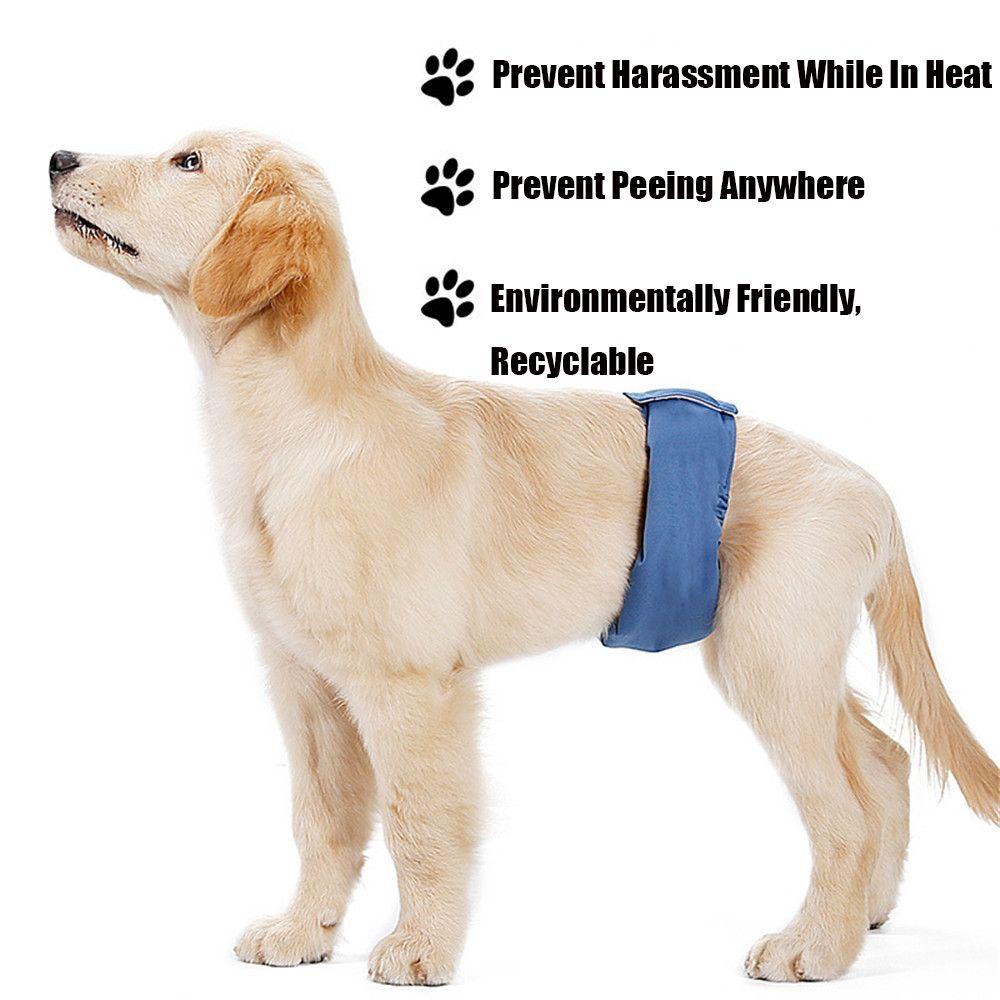 Layor1 Quần Sinh Lý Co Giãn Thiết Kế Dành Cho Cún Cưng