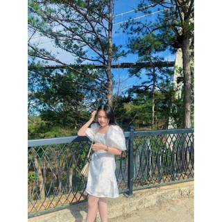 Váy đầm nữ kiểu babydoll nhún ngực trẻ trung