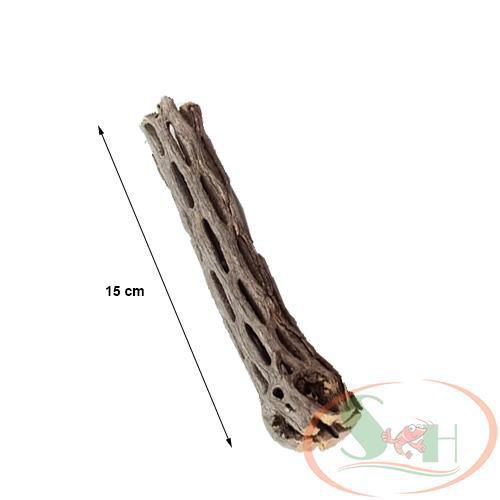 Lũa Cholla Staghorn Cactus Wood Xương Rồng Nhỏ