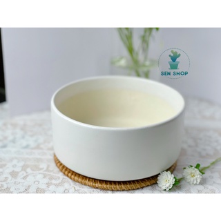 Chậu men trồng cây ( trụ thấp màu pastel)