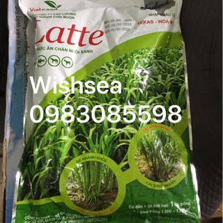 Hạt giống cỏ voi 1kg