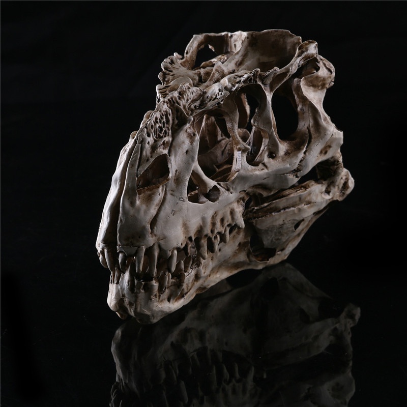 [adorebubble 0528] Resin Crafts Dinosaur Tooth Skull Fossil Teaching Skeleton Model Halloween Decor