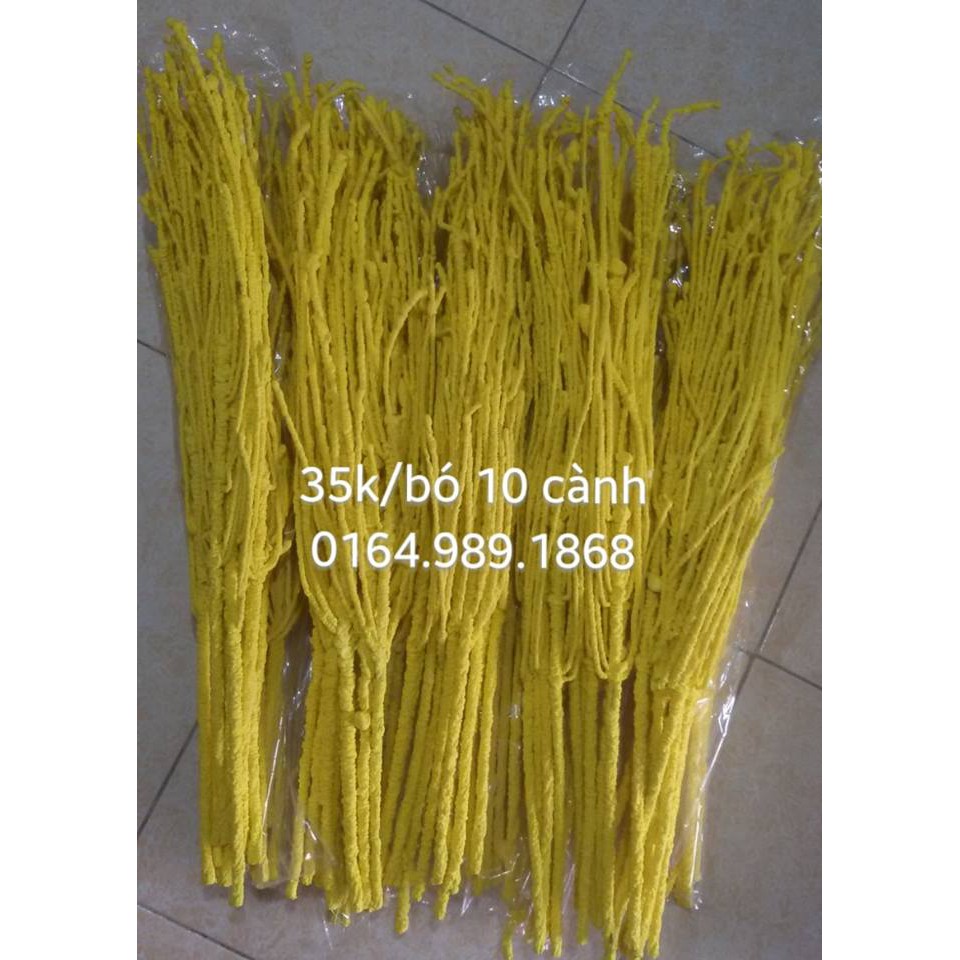 CÀNH TUYẾT MÀU SIÊU RẺ