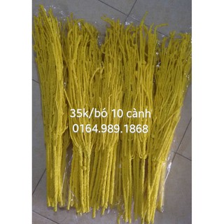 Cành tuyết màu siêu rẻ
