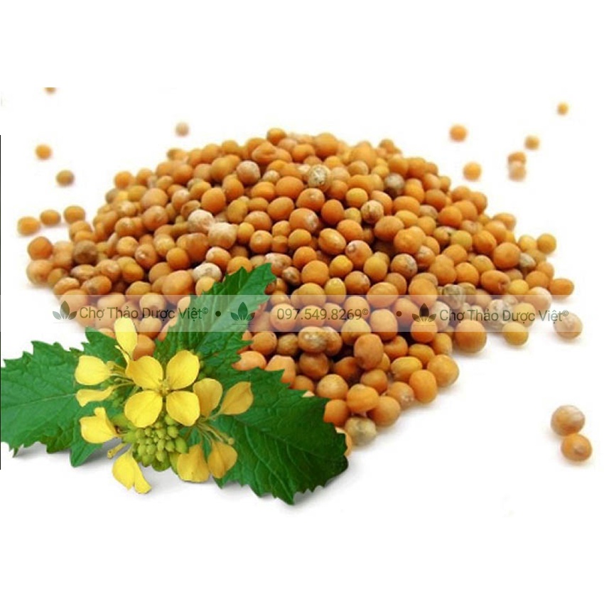 Bạch giới tử hữu cơ 500g ( Hạt cải trắng giảm ho, tiêu đàm) - Chợ Thảo Dược Việt