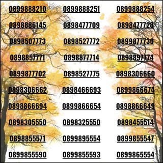 Xả kho sim số đẹp làm ăn lớn nhất Miền Nam
