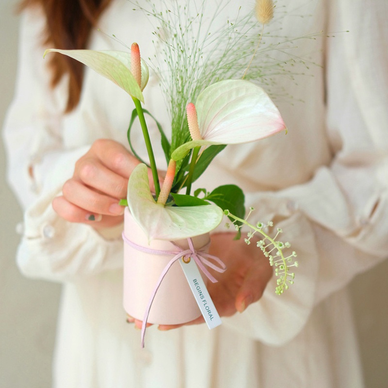 Hộp Quà Mini Hình Hoa Tulip Sáng Tạo