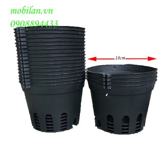 Chậu nhựa trồng lan phi 18(COMBO 10 chậu)