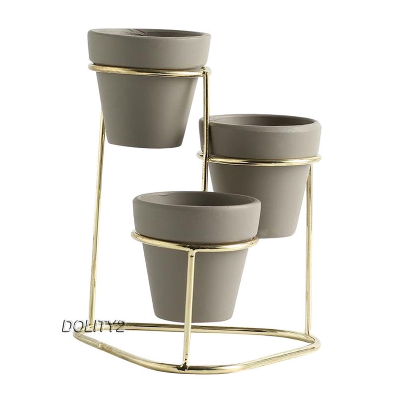 Bộ Sưu Tập Chậu Cây Mọng Nước 3 Trong 1 [Dolity2] Với Giá Đỡ Kim Loại Màu Vàng Kim