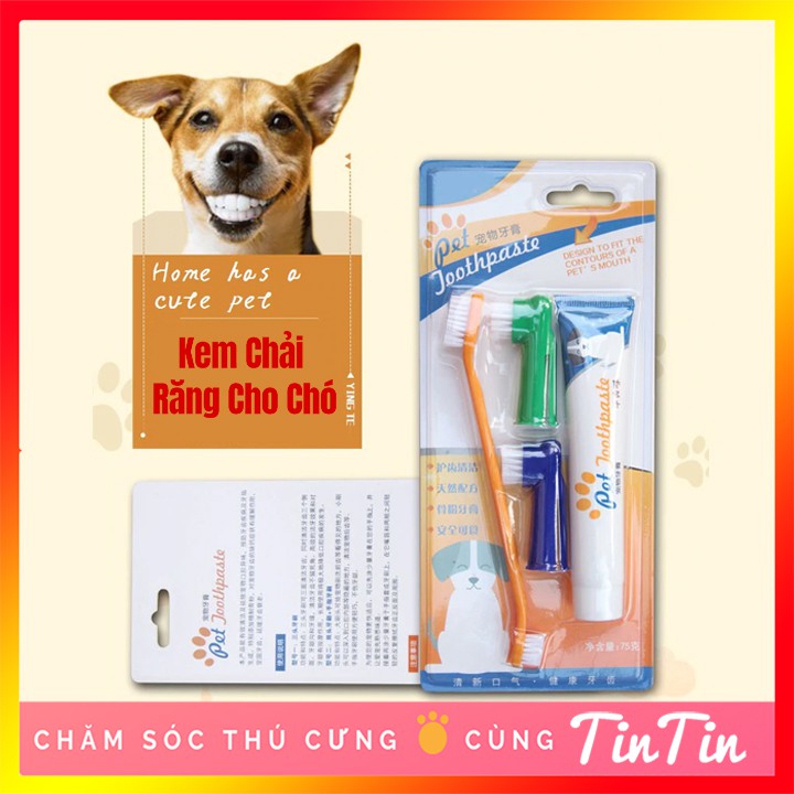 Bộ Kem Đánh Răng Kèm Bàn Chải Cho Chó và Thú Cưng Tuýp 100g #Tintin Pet Store