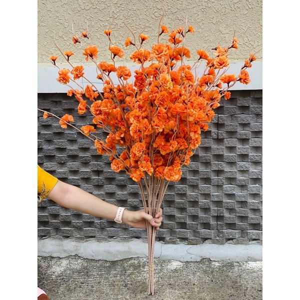 Cành hoa đào râu mẫu mới hàng Việt Nam