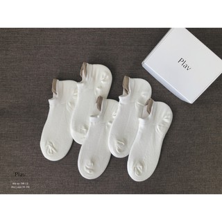 Set 5 đôi vớ cổ ngắn cho Nữ chất cotton freesize -PLAV