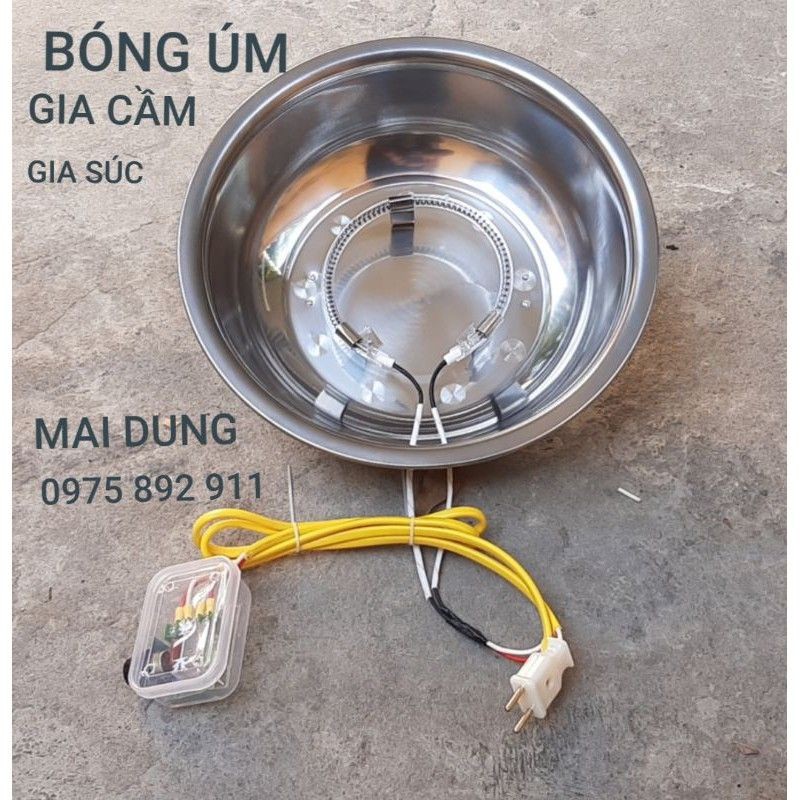 BÓNG ÚM GÀ VỊT - LOẠI BÓNG ÚM CACBON