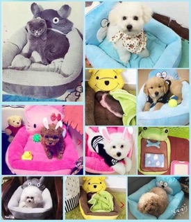 Nệm hình thú cho cún mèo 🐼🐶🐯🐸