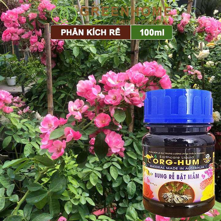 Phân bón lá kích rễ Greenhome, org hum, chai 100ml, dưỡng rễ, kích ra rễ, kích chồi, nảy mầm
