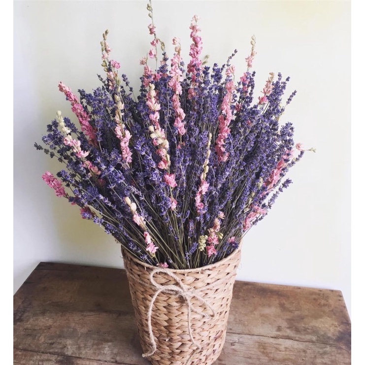 Hoa khô Lavender nhập khẩu siêu thơm  100 cành decor nội thất, hoa khô trang trí