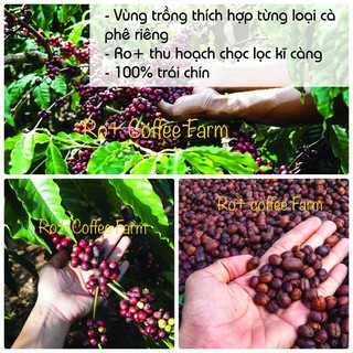 Cà phê robusta honey nguyên chất 100% pha phin - ảnh sản phẩm 6