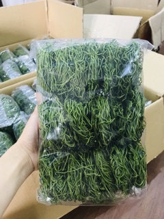 Mì Kale Organic