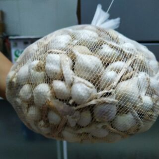 Combo 2 túi Tỏi Lý Sơn 3 tép 1kg 1000gr- Đặc sản Quảng Ngãi