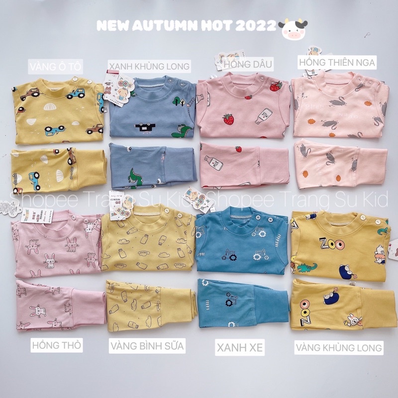 BỘ COTTON CẠP CAO TQXK CHO BÉ TRAI, BÉ GÁI.