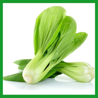 Hạt giống rau Cải Chíp - Rau ăn lá ngắn ngày