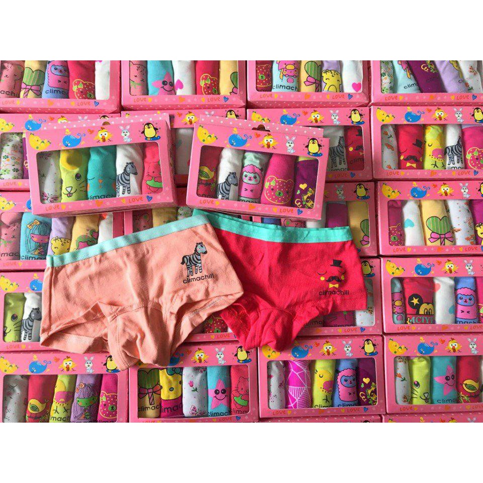 set 5 chiếc chip đùi climachi vnxk