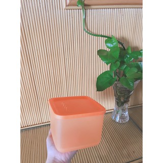 Hộp bảo quản thực phẩm Tupperware Medium Square Round
