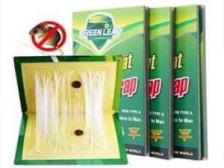 MIẾNG DÁN CHỐNG CHUỘT