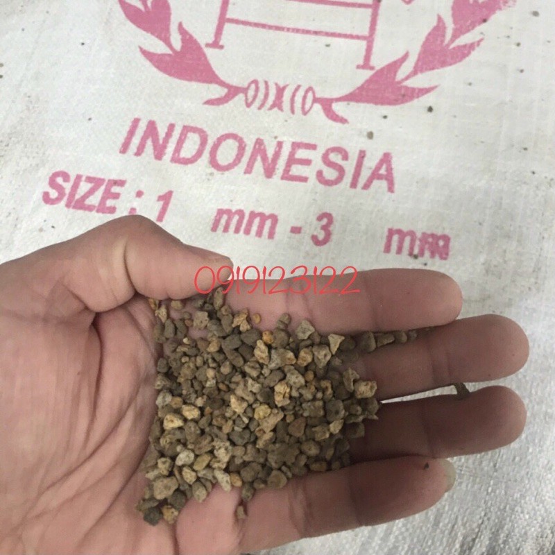 1Kg đá bọt Pumice Indonesia size 1-3/ 3-6/ 5-8mm  đã được sàng sơ bụi