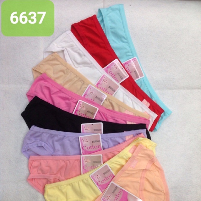 10 Quần lót nữ (6637) cotton hàng Việt Nam cao cấp )