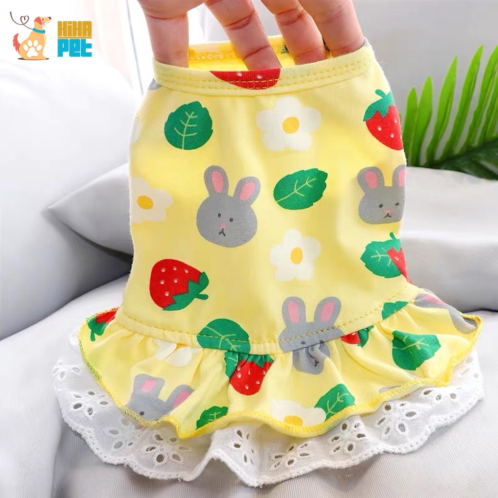 Váy Thun Hình Trái Dâu Thỏ Mát Mẻ Chó Mèo Giá Rẻ Hihapet.