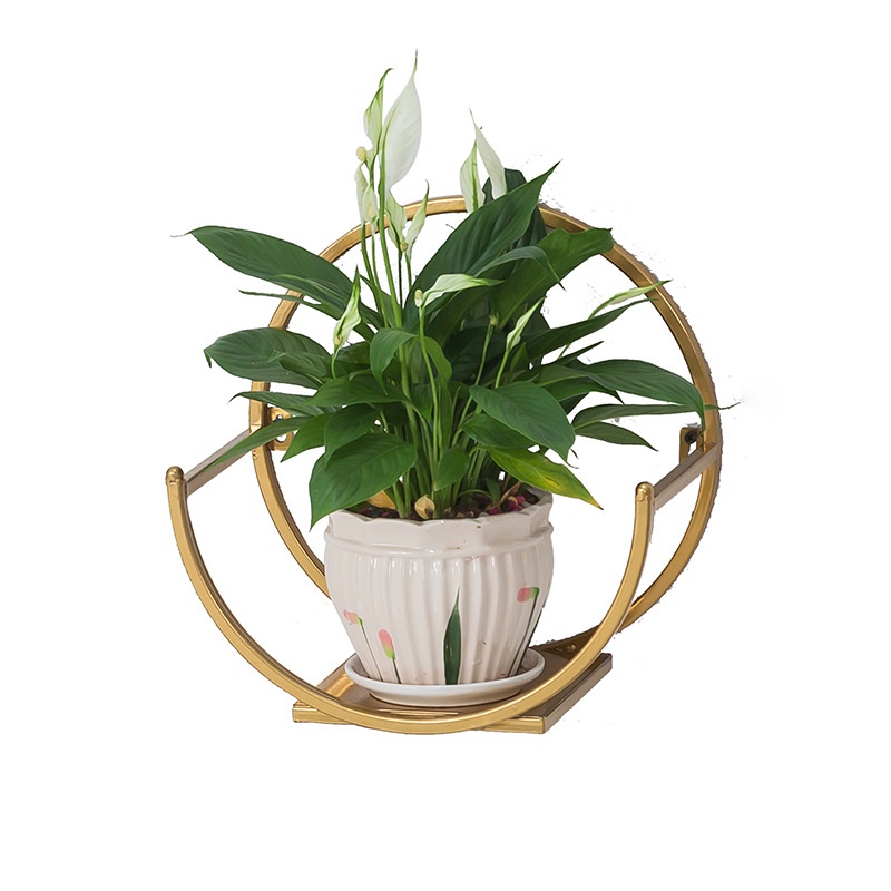 Kệ trang trí chậu cây, đồ mỹ nghệ treo tường hình bán nguyệt