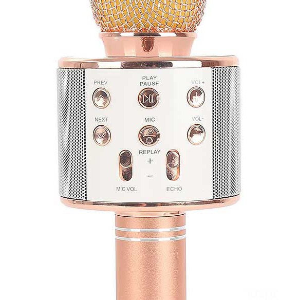 Microphone Karaoke .Kèm Loa WSTER WS-858 ST2S345