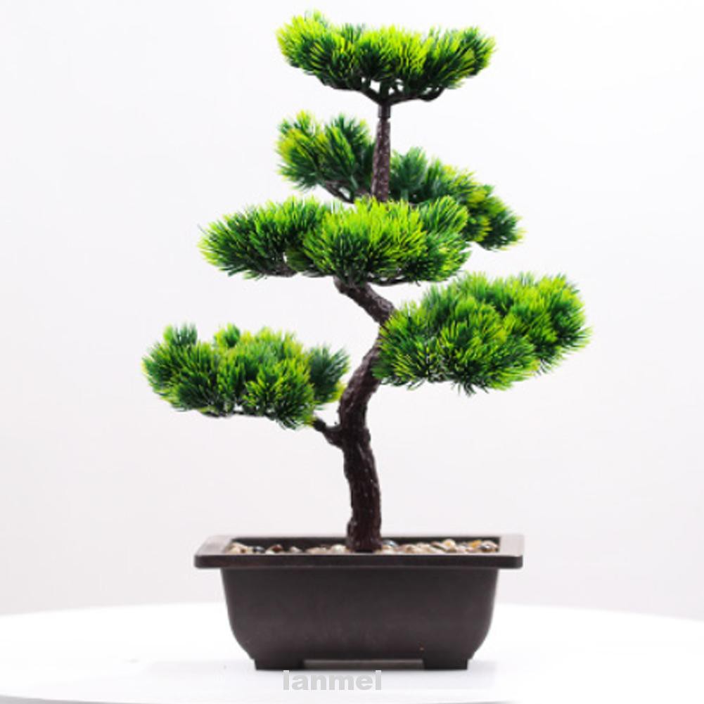 Cây Bonsai Giả Trang Trí Văn Phòng