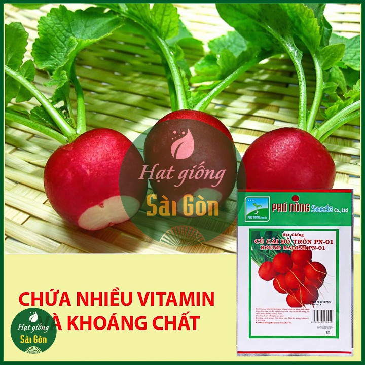 Hạt Giống Củ Cải Đỏ Mini Năng Suất Cao 5gr