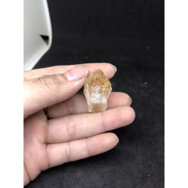 Mầm tinh thể vàng Citrine