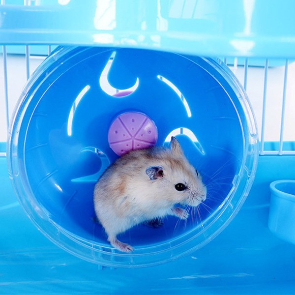 Chuồng cho chuột Hamster thiết kế xinh xắn tiện ích