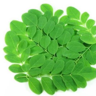 500gr bột chùm ngây hàng cao cấp