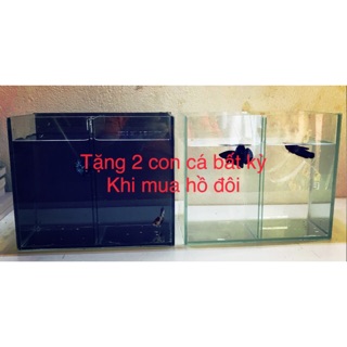 Bể Cá - Hồ đôi mini Siêu Tiện Lợi nuôi cá Betta - guppy có ngăn che
