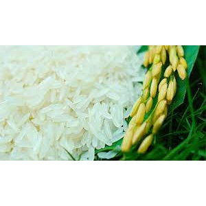 Gạo Tiến Vua 5Kg - Thái Dương