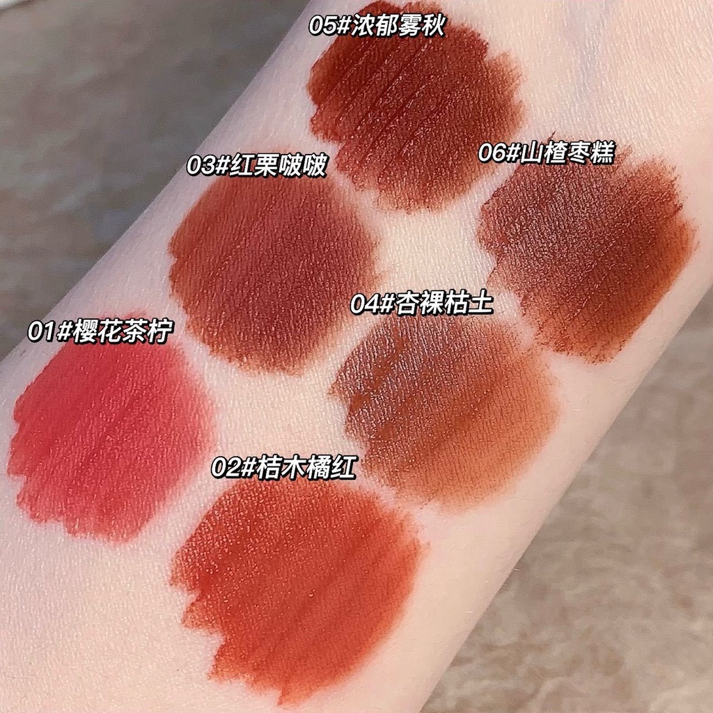 Son Môi Bùn Dưỡng Ẩm Lâu Trôi Chống Thấm Nước MAGIC CASA