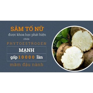 Sâm tố nữ nguyên miếng (Tăng cường nội tiết tố nữ)