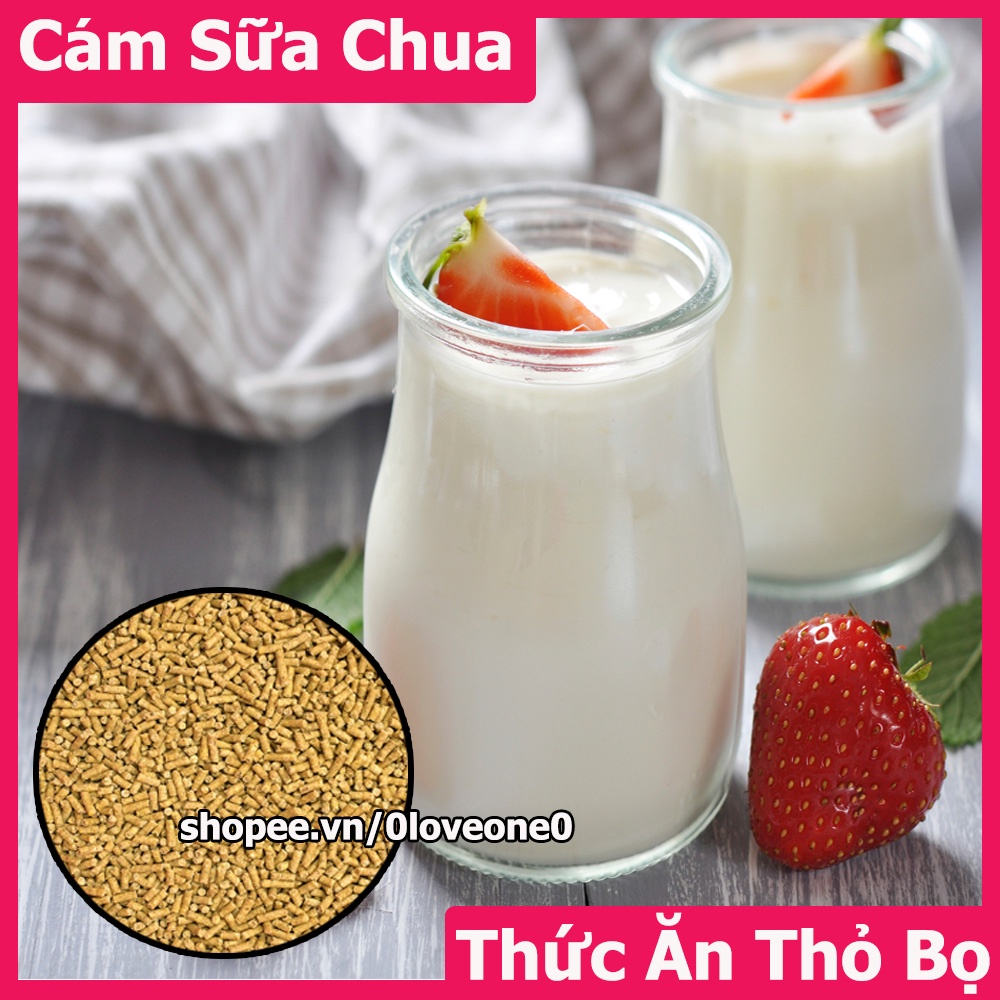 1Kg Cám Sữa Chua Giàu Lợi Khuẩn Hỗ Trợ Tiêu Hóa Thức Ăn Cho Thỏ-Bọ Ú-Guinea Pig