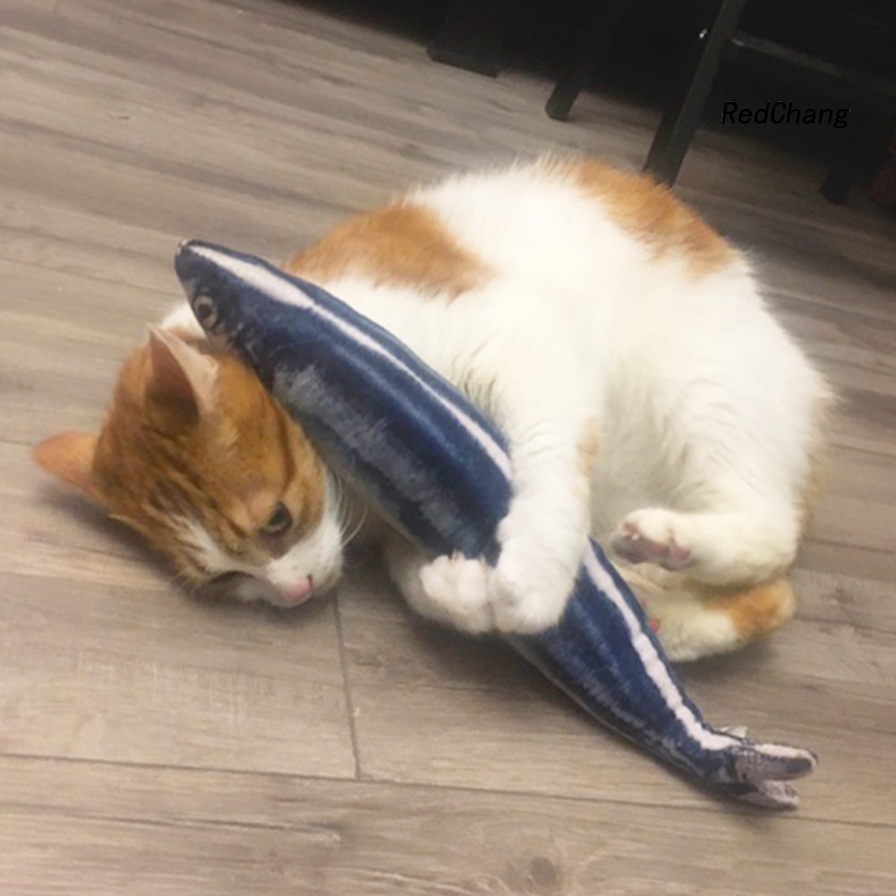 Cá Nhồi Bông Đồ Chơi Cho Mèo Cưng